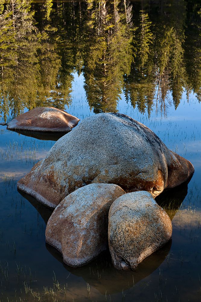 Rocks in Tuolumne River-Tuolumne Meadows-Yosemite National Park-California art print by Adam Jones for $57.95 CAD