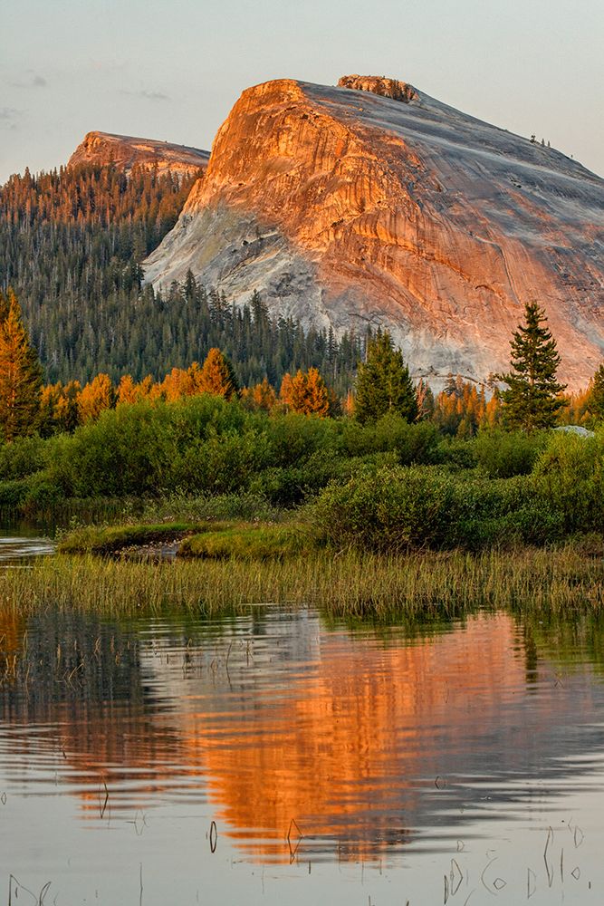 Tuolumne Meadows and Lembert Dome reflected in Tuolumne River art print by Adam Jones for $57.95 CAD