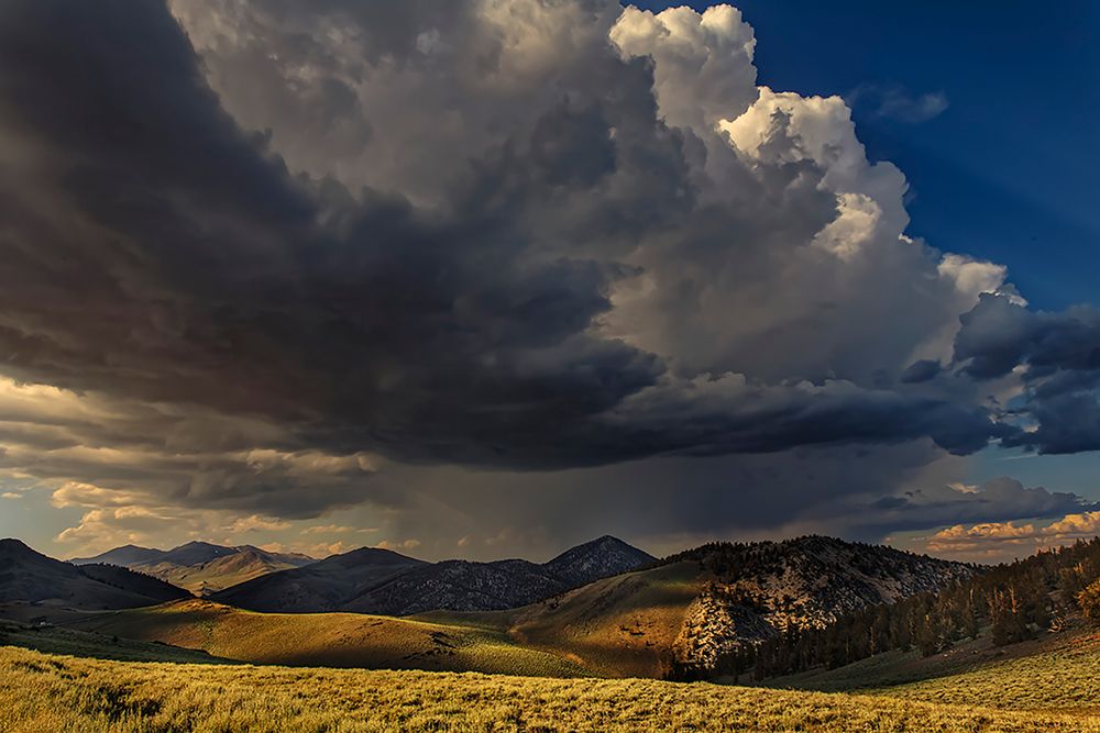 Storm clouds rolling in at sunset-White Mountains-Inyo National Forest-California art print by Adam Jones for $57.95 CAD