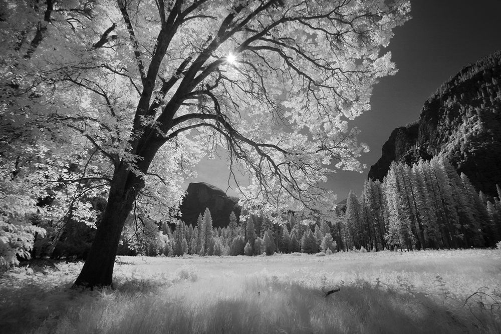 Yosemite Valley in infrared black and white-Yosemite National Park-California art print by Adam Jones for $57.95 CAD