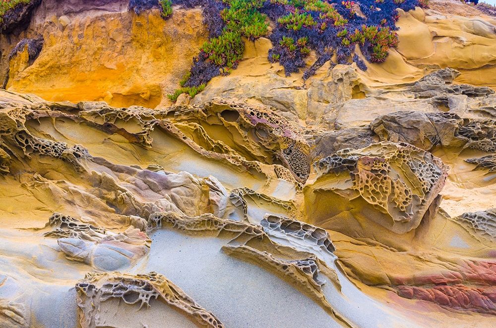 Rocky Formations at Bean Hollow Beach-California-USA art print by Anna Miller for $57.95 CAD