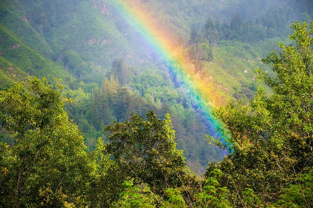 Rainbow in Andrew Molera State Park-California-USA art print by Anna Miller for $57.95 CAD