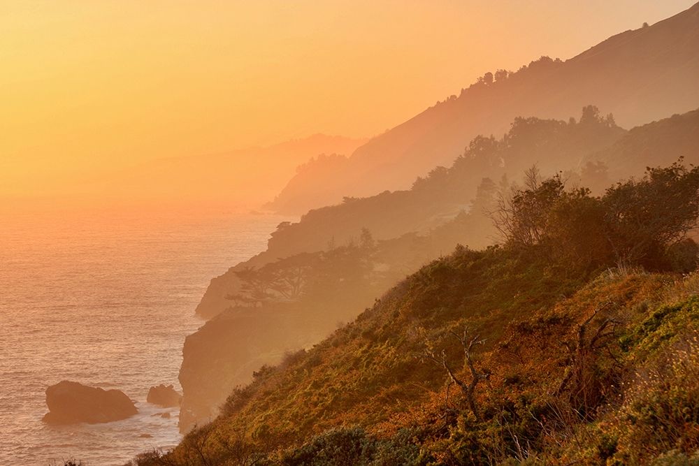 Golden Sunset on Big Sur Coastal Cliffs-California-USA art print by Anna Miller for $57.95 CAD