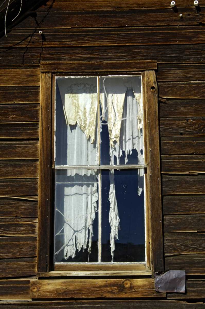 CA, Bodie SP, Tattered drapes hang in a window art print by Dennis Kirkland for $57.95 CAD