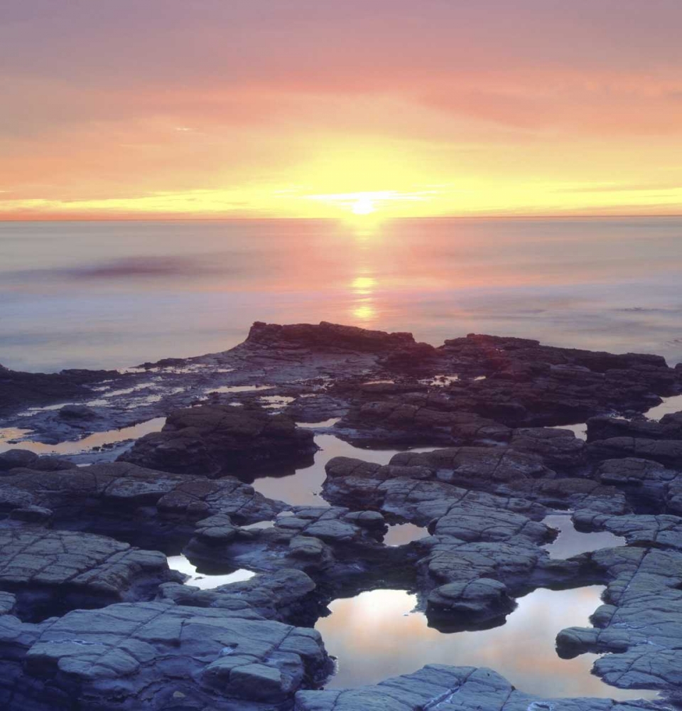 CA, San Diego Sunset Cliffs tide pools at sunset art print by Christopher Talbot Frank for $57.95 CAD