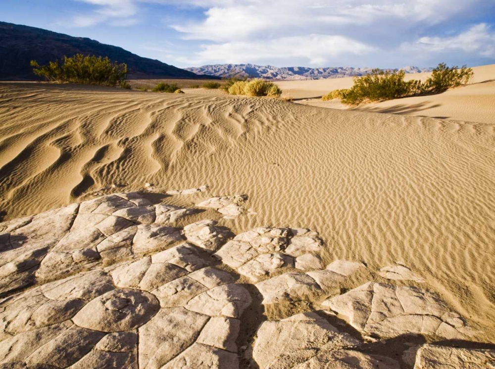 CA, Death Valley NP Mesquite Flat Sand Dunes art print by Wendy Kaveney for $57.95 CAD