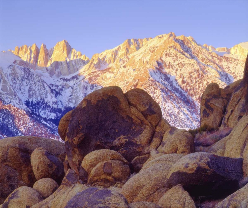 California, Sierra Nevada Mt Whitney at sunrise art print by Christopher Talbot Frank for $57.95 CAD