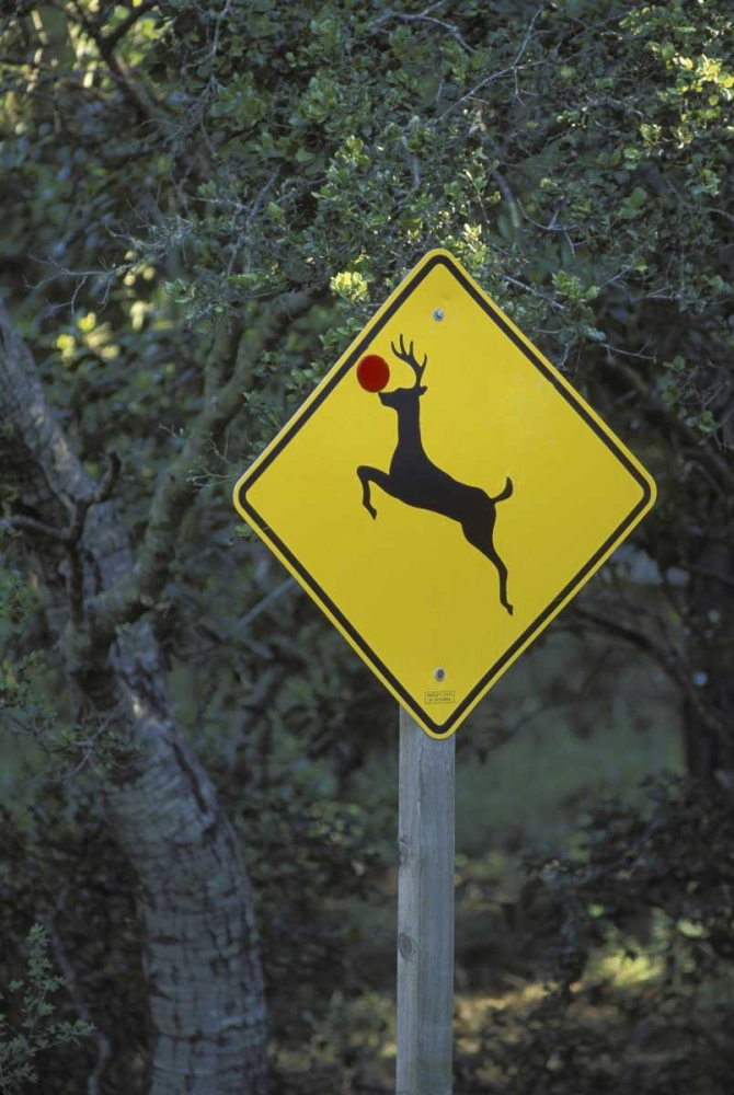 CA, Rudolph the reindeer crossing sign on Highway art print by Don Grall for $57.95 CAD