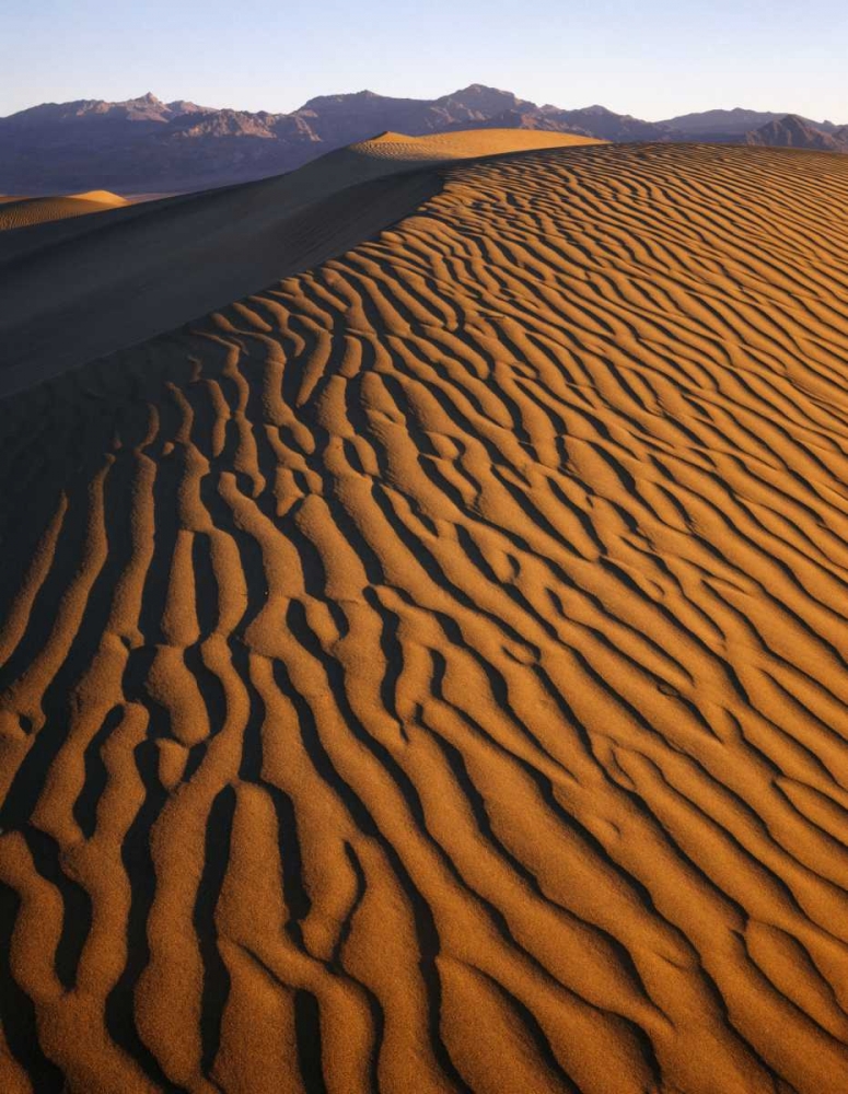 Patterns at Mesquite Sand dunes, Death Valley, CA art print by Dennis Flaherty for $57.95 CAD