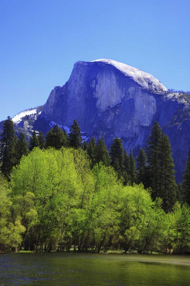 CA, Yosemite Half Dome rock and Merced River art print by Dennis Flaherty for $57.95 CAD