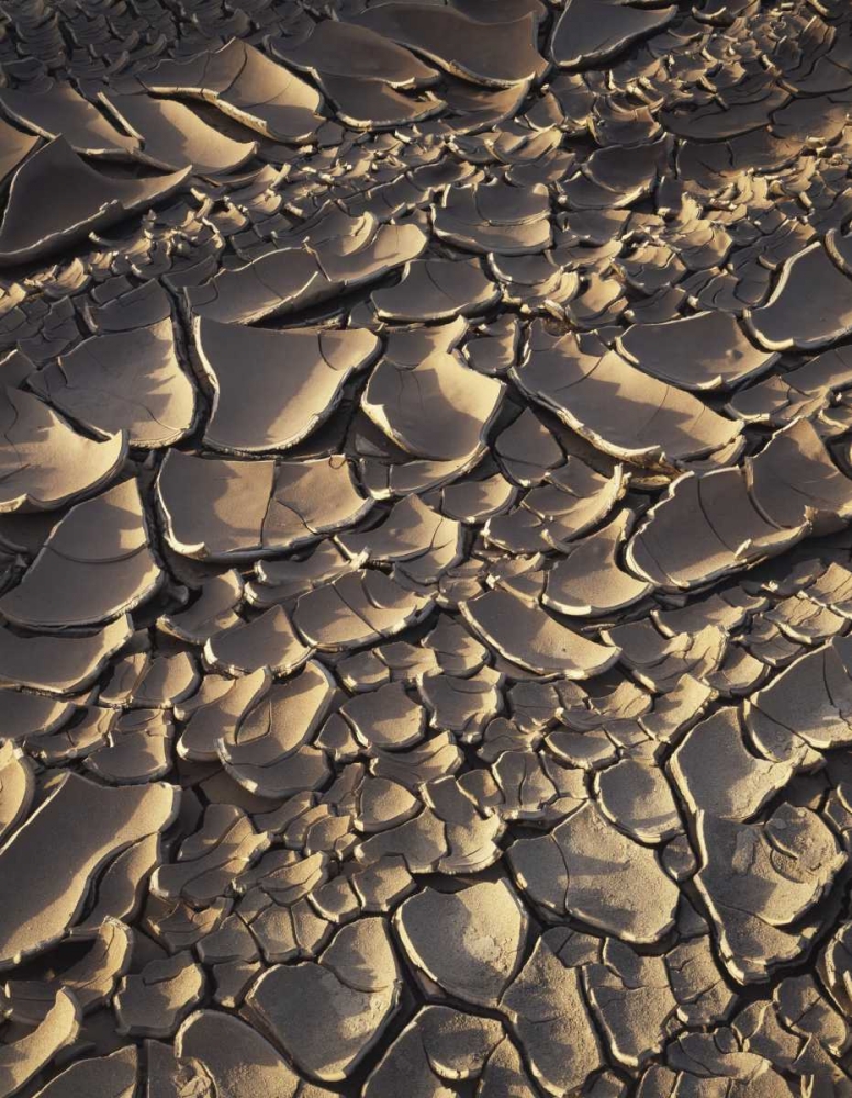 California, Anza-Borrego Patterns of Cracked Mud art print by Christopher Talbot Frank for $57.95 CAD