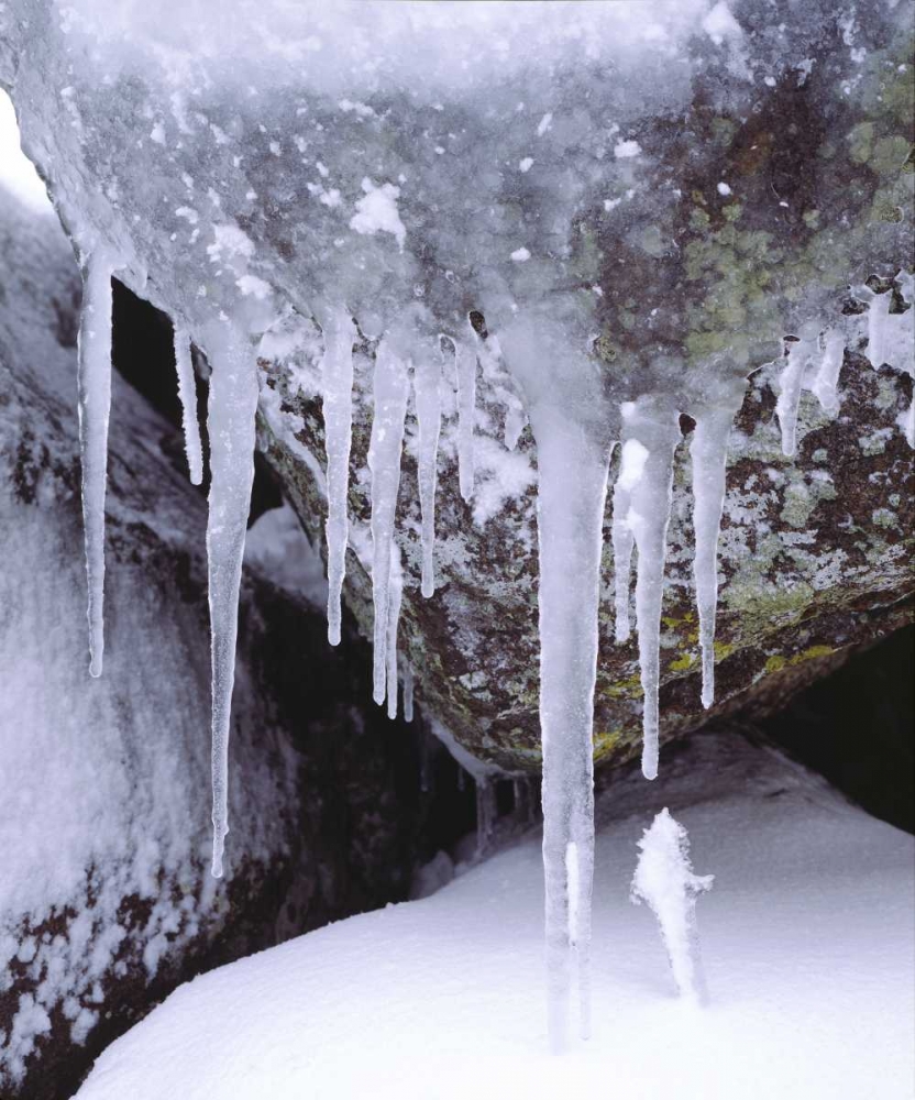 California, Icicles in the Cleveland NF art print by Christopher Talbot Frank for $57.95 CAD