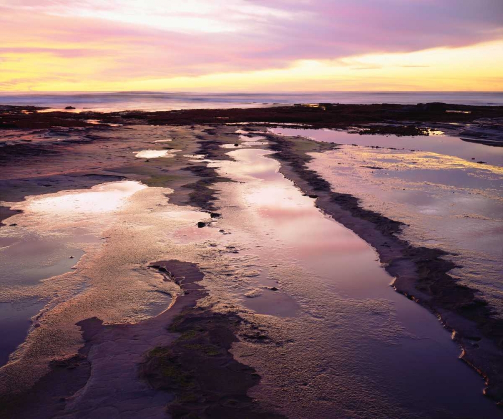 California, San Diego, Sunset Cliffs tide pools art print by Christopher Talbot Frank for $57.95 CAD