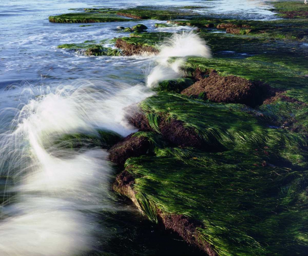 CA, San Diego Waves breaking on tide pools art print by Christopher Talbot Frank for $57.95 CAD