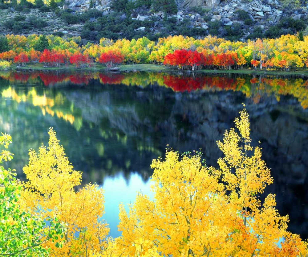 CA, Sierra Nevada, Autumn at Grant Lake art print by Christopher Talbot Frank for $57.95 CAD