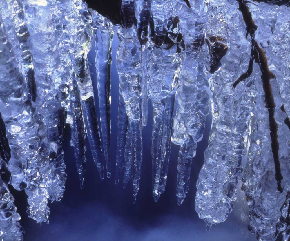 California, Sierra Nevada, Icicles in the Sierra art print by Christopher Talbot Frank for $57.95 CAD