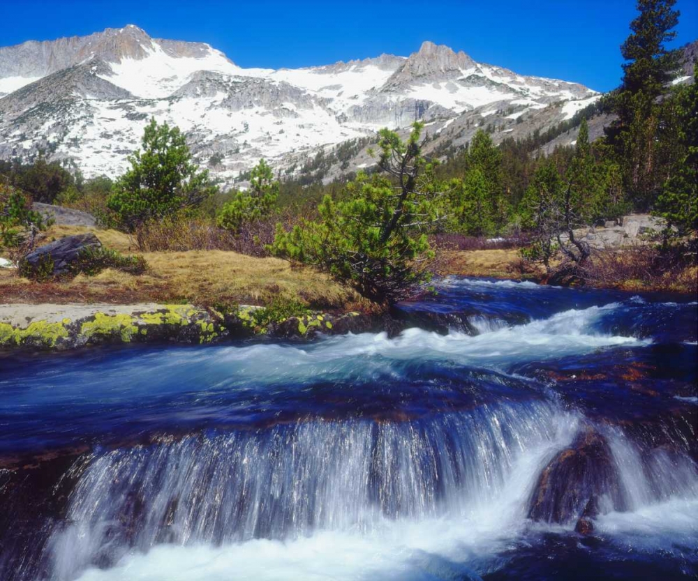 CA, Sierra Nevada A Creek in the High Sierra art print by Christopher Talbot Frank for $57.95 CAD