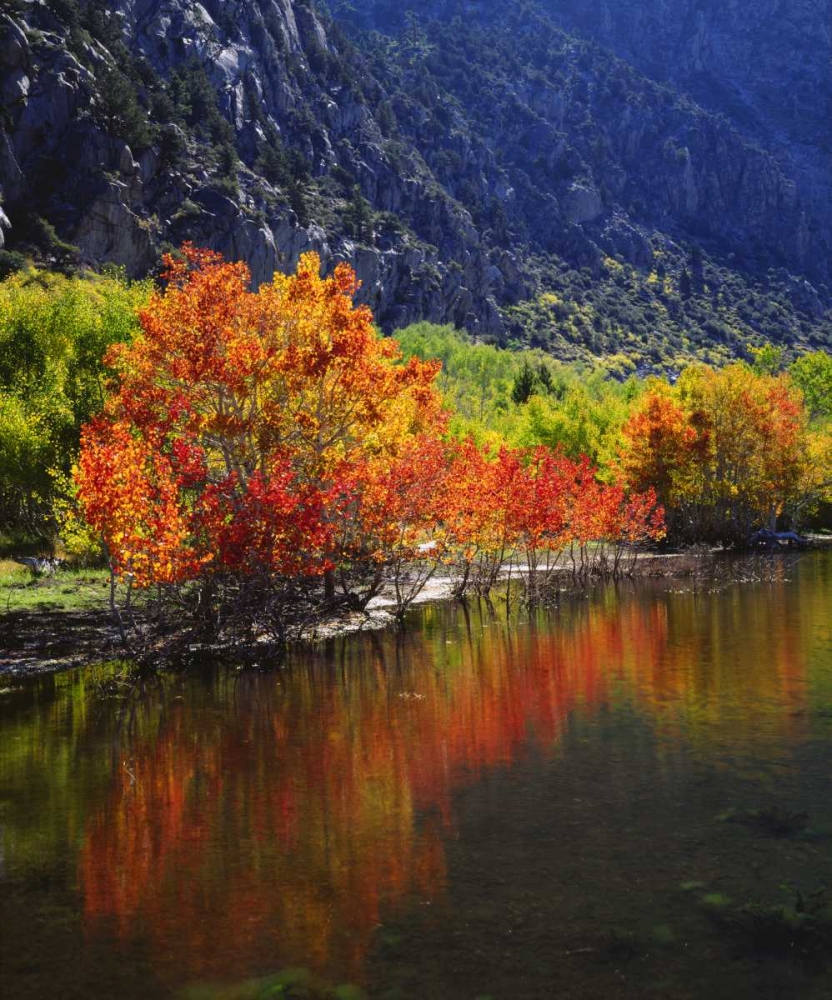 California, Autumn in the Sierra Nevada Mts art print by Christopher Talbot Frank for $57.95 CAD