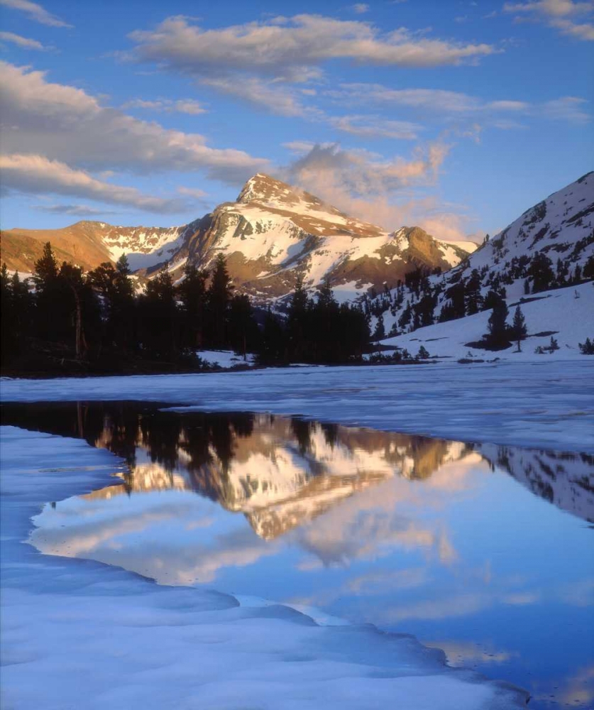 CA, Sierra Nevada Dana Peak above a frozen lake art print by Christopher Talbot Frank for $57.95 CAD