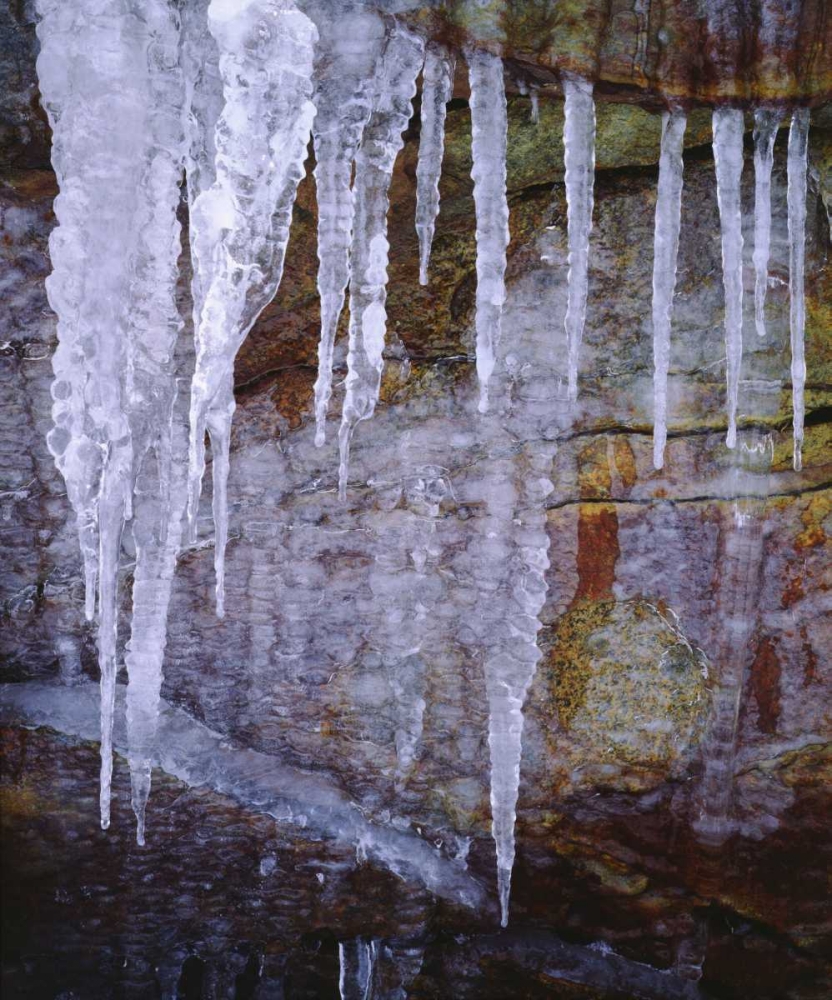 California, Sierra Nevada Icicles in the Sierra art print by Christopher Talbot Frank for $57.95 CAD