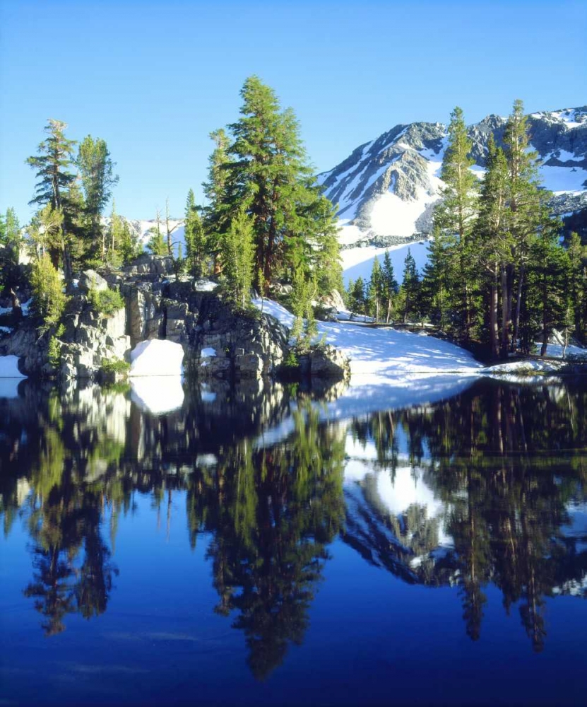 CA, Sierra Nevada Red firs reflecting in a tarn art print by Christopher Talbot Frank for $57.95 CAD