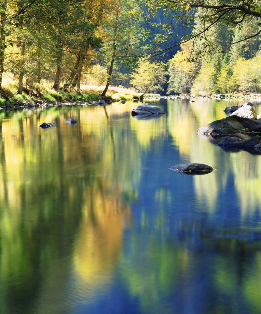 CA, Yosemite Autumn around the Merced River art print by Christopher Talbot Frank for $57.95 CAD