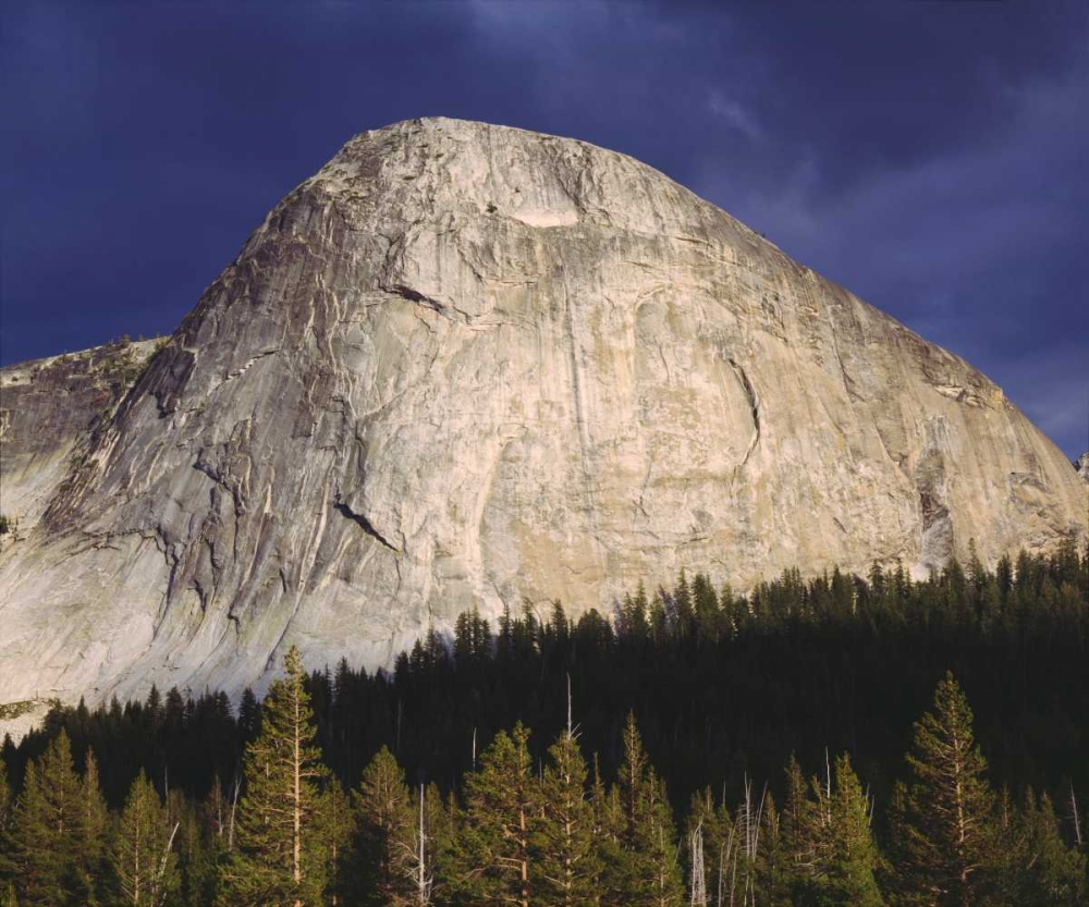 CA, Yosemite Fairview Dome in Tuolumne Meadows art print by Christopher Talbot Frank for $57.95 CAD