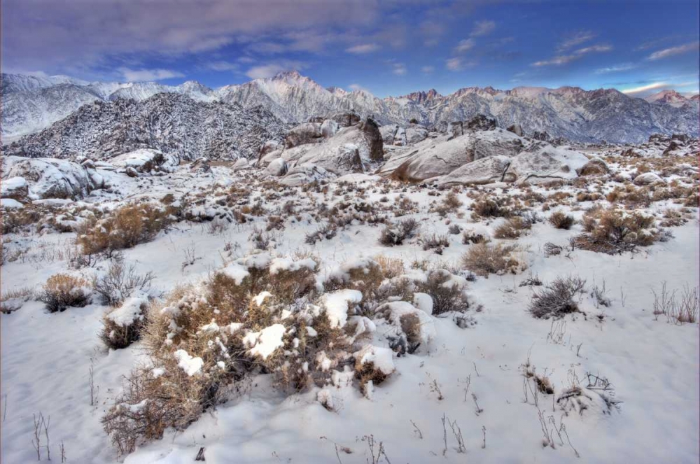 CA, Sierra Mts, Alabama Hills snowy landscape art print by Dave Welling for $57.95 CAD