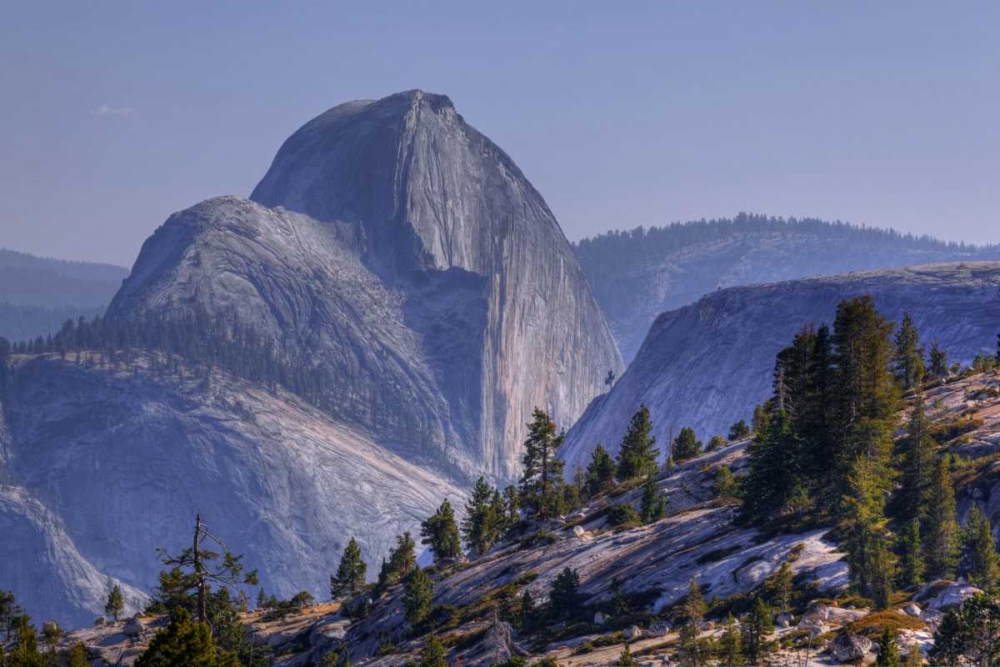 CA, Yosemite Half Dome seen from Olmsted Point art print by Dennis Flaherty for $57.95 CAD