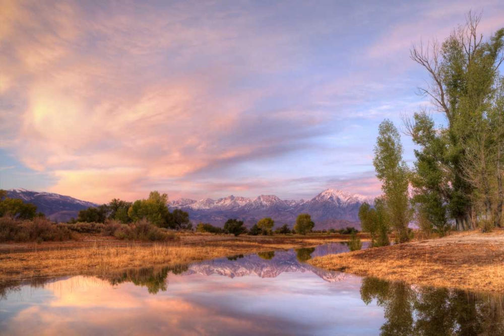 California, Bishop Sierra Mts from Farmers Pond art print by Dennis Flaherty for $57.95 CAD