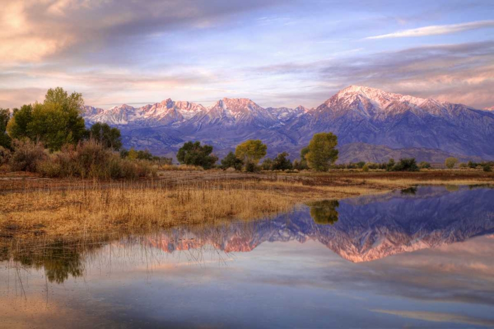 California, Bishop Sierra Mts from Farmers Pond art print by Dennis Flaherty for $57.95 CAD