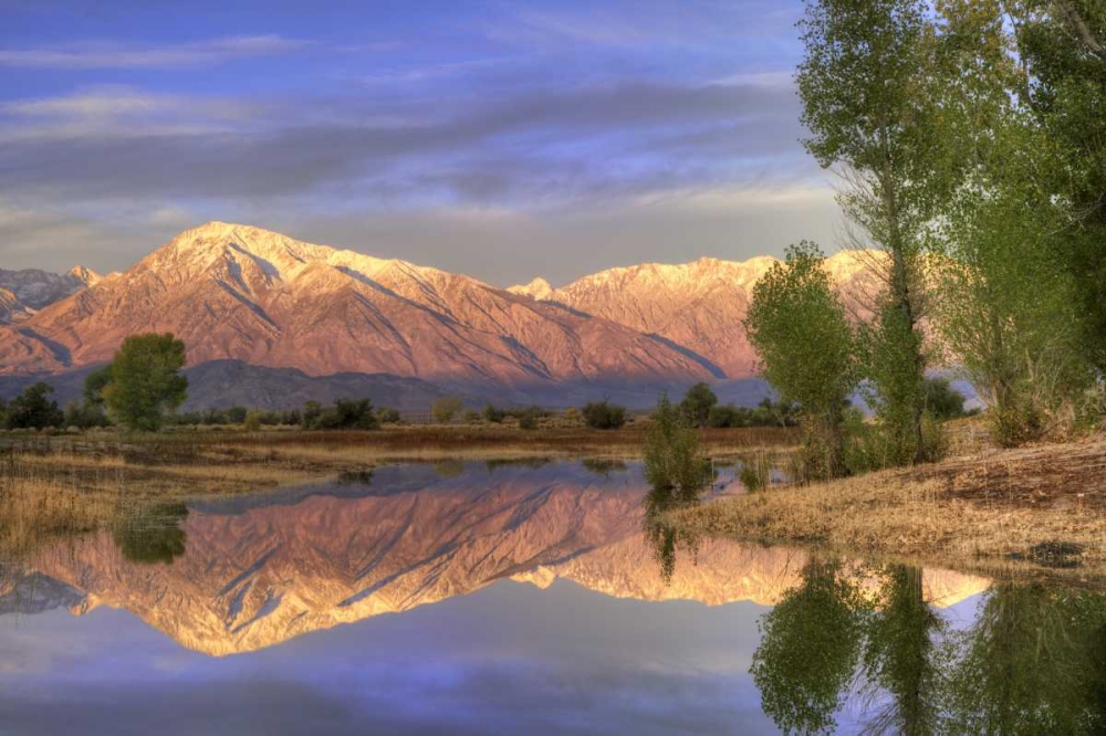 CA, Bishop Reflection of Mt Tom in Farmers Pond art print by Dennis Flaherty for $57.95 CAD