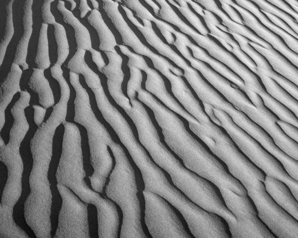 California, Death Valley NP Sand dune patterns art print by Dennis Flaherty for $57.95 CAD