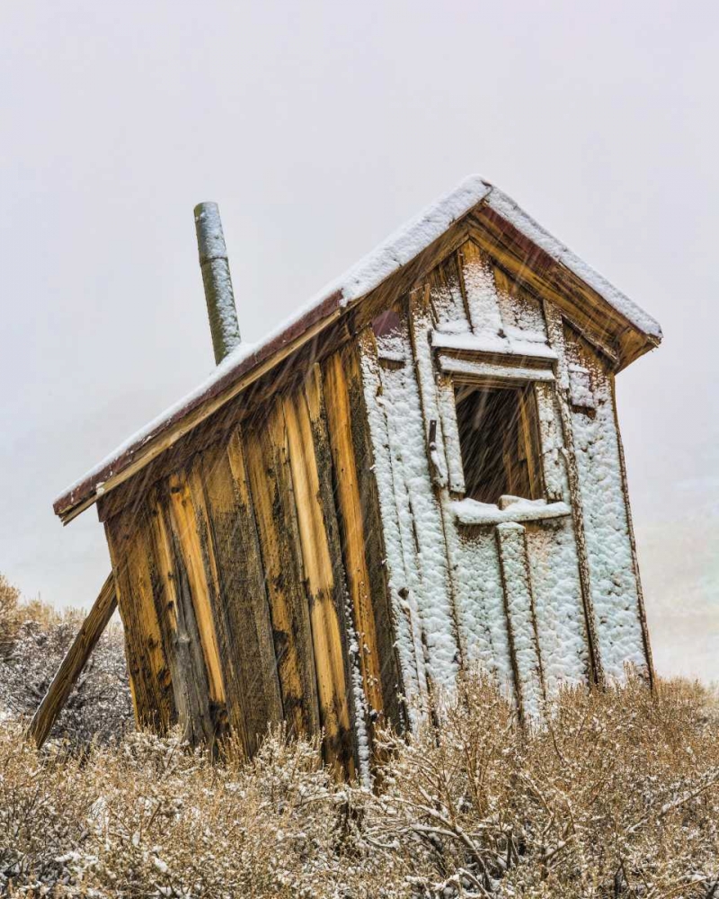 USA, California, Bodie Solitary outhouse art print by Don Paulson for $57.95 CAD
