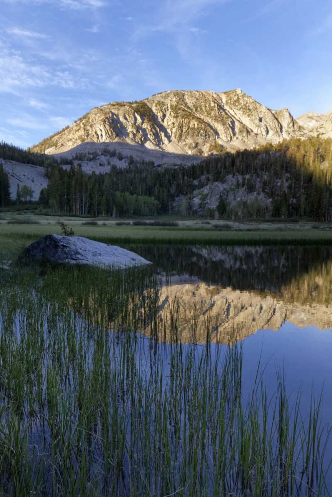 California, Sierra Nevada Grass Lake reflection art print by Dennis Flaherty for $57.95 CAD