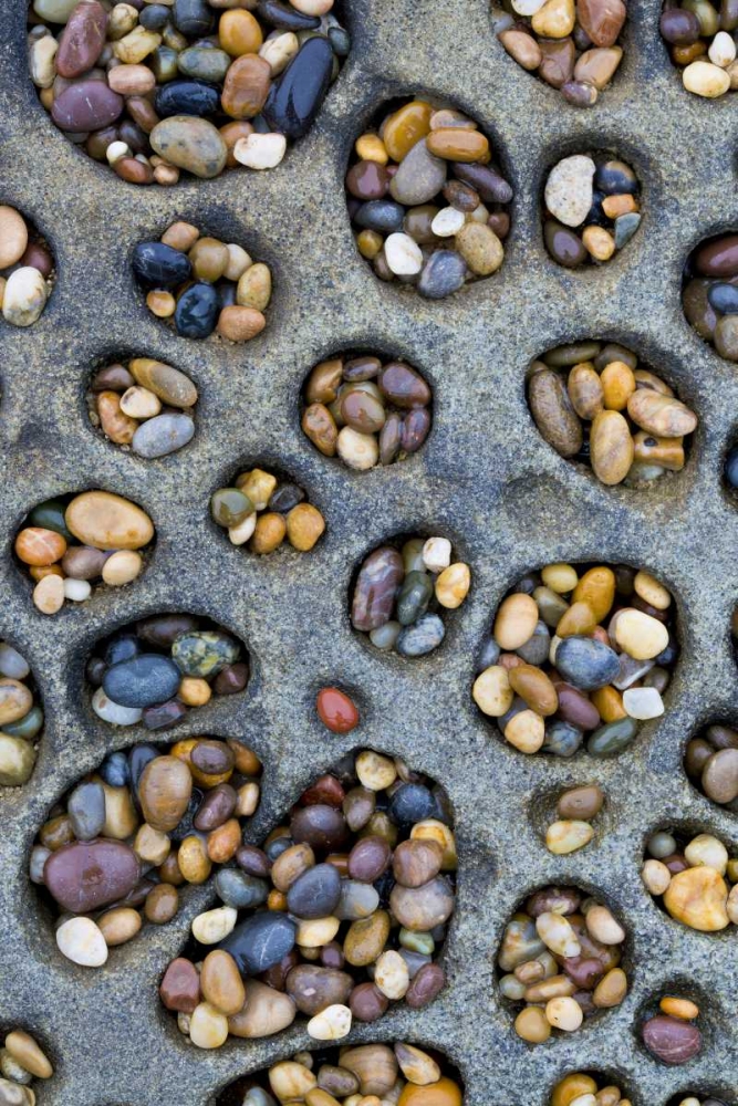 CA, Tafoni formation holes filled with pebbles art print by Gilles Delisle for $57.95 CAD