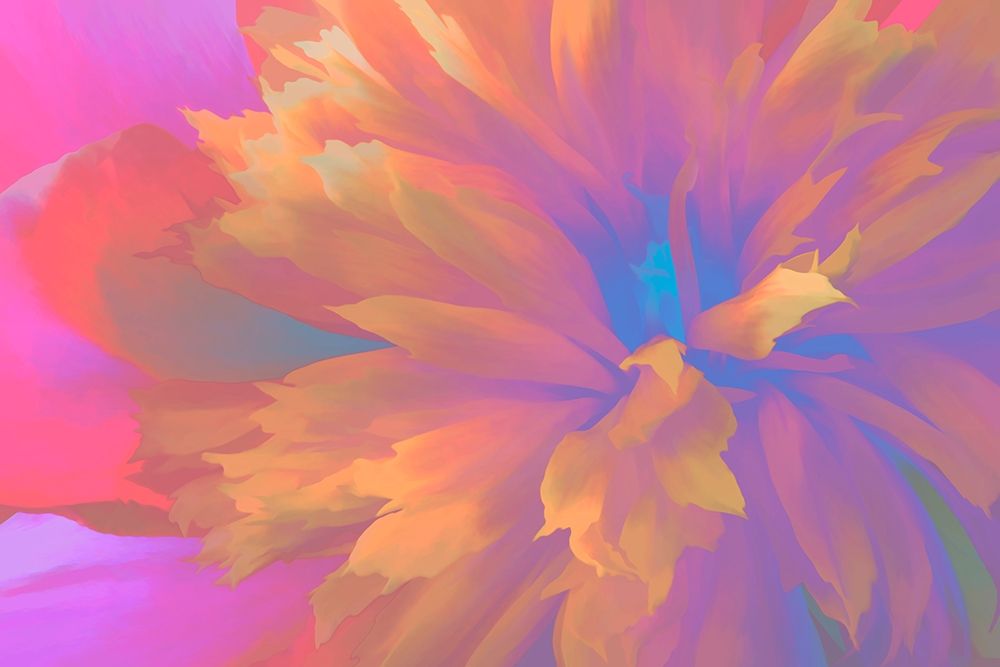 California Abstract of blooming peony flower art print by Jaynes Gallery for $57.95 CAD