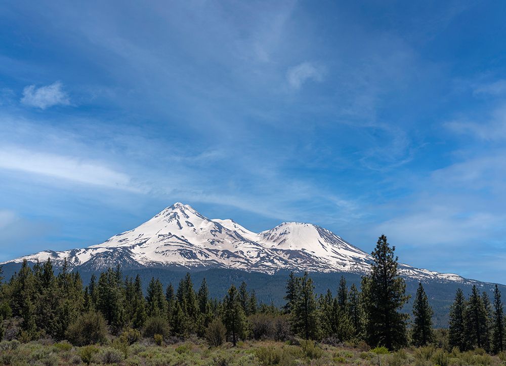 Mt. Shasta the tallest volcano in California. art print by Betty Sederquist for $57.95 CAD