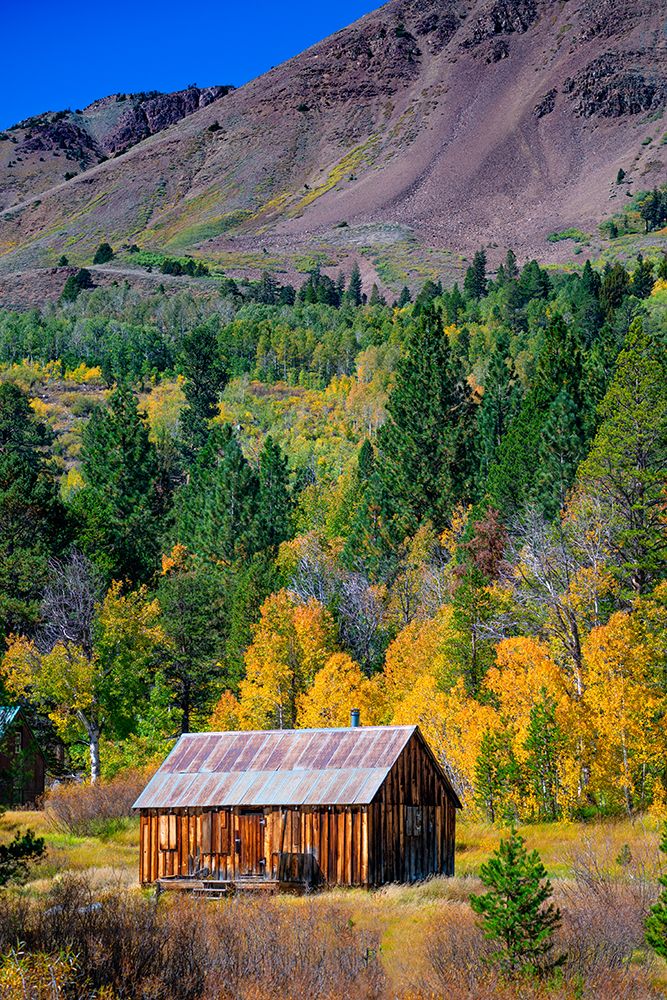 Cabin is in Hope Valley-in the Sierra Nevada-California-USA. art print by Betty Sederquist for $57.95 CAD