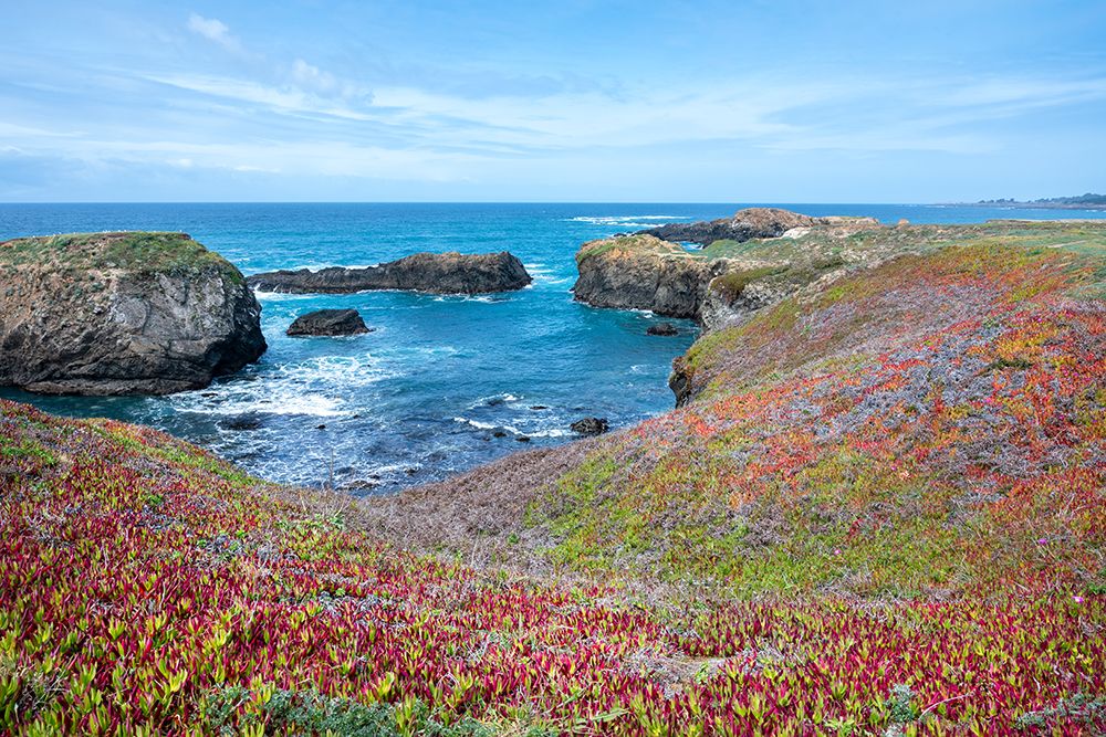 USA-California Pacific Ocean-cliffs edge in Mendocino Headlands State Park art print by Janell Davidson for $57.95 CAD