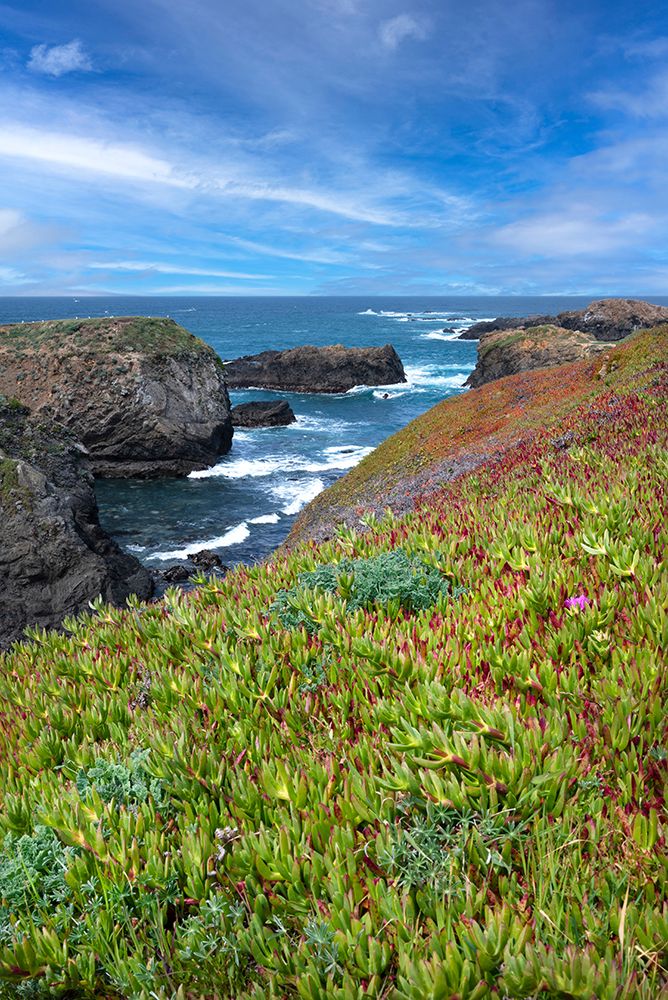 USA-California Pacific Ocean-Mendocino Headlands State Park art print by Janell Davidson for $57.95 CAD