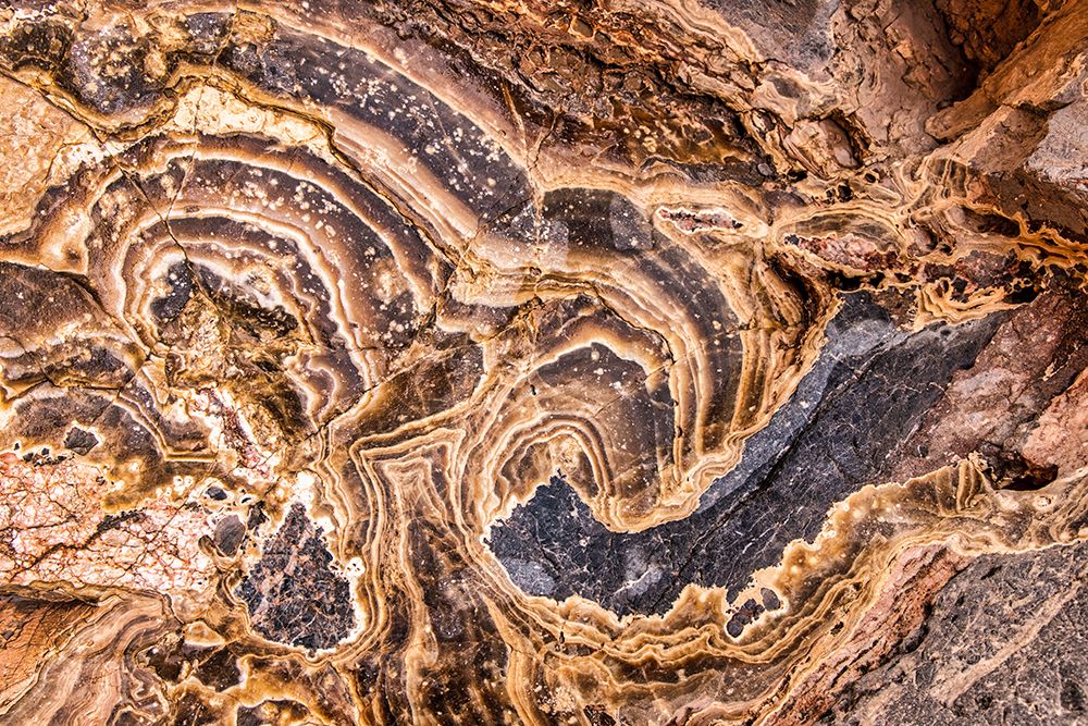 Marble Abstract-Titus Canyon-Death Valley art print by John Ford for $57.95 CAD