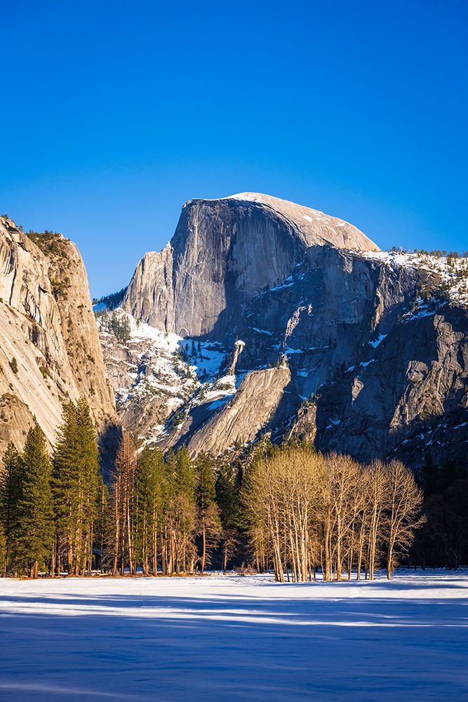 Afternoon light on Half Dome in winter-Yosemite National Park-California-USA art print by Russ Bishop for $57.95 CAD
