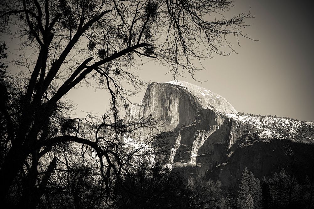Afternoon light on Half Dome in winter-Yosemite National Park-California-USA art print by Russ Bishop for $57.95 CAD