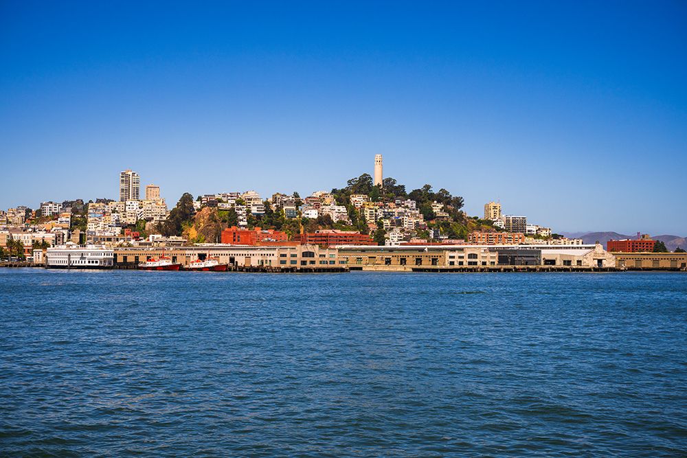 Coit Tower and Telegraph Hill from the San Francisco Bay, California, USA art print by Russ Bishop for $57.95 CAD