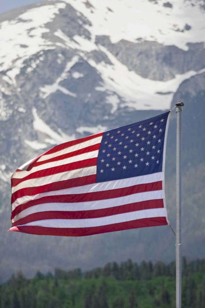 CO, Silverthorne American flag and mountain art print by Fred Lord for $57.95 CAD