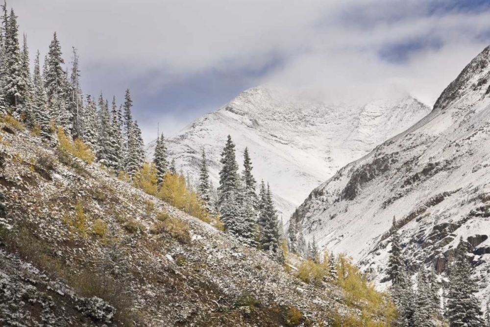 CO, Rocky Mts, Cinnamon Pass Autumn snowfall, art print by Don Grall for $57.95 CAD