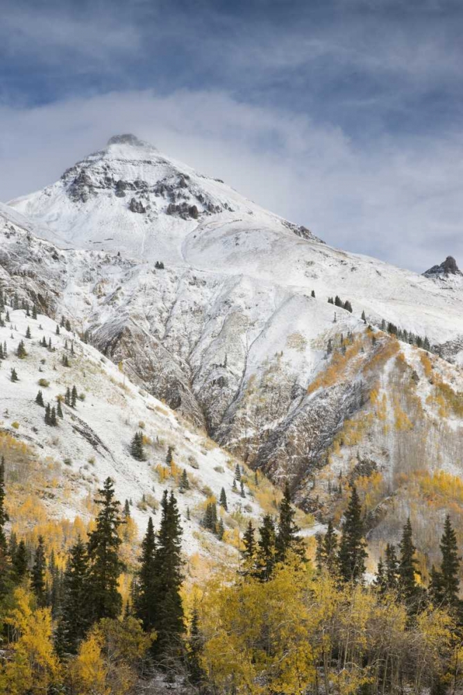 CO, Uncompahgre NF Mountain and aspens in autumn art print by Don Grall for $57.95 CAD