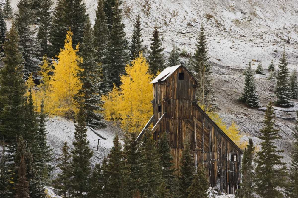 CO, Uncompahgre NF, An abandoned mine in fall art print by Don Grall for $57.95 CAD
