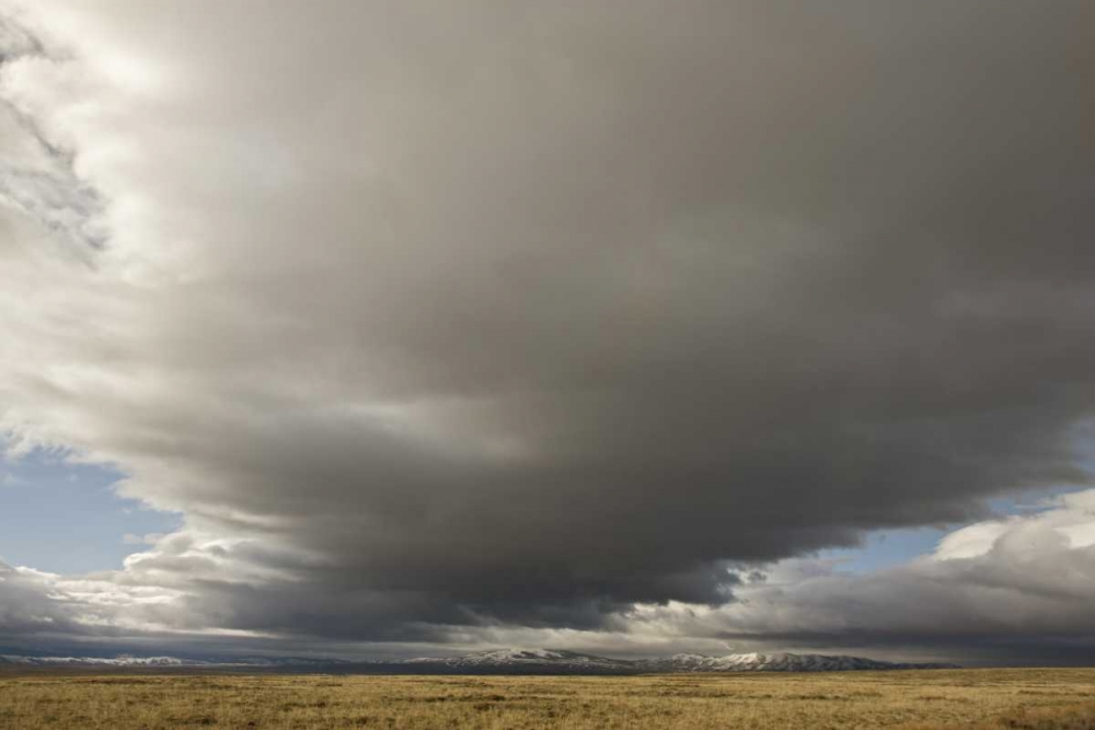 CO, North Park Storm clouds sweep across plain art print by Don Grall for $57.95 CAD